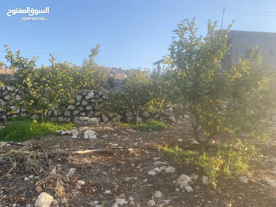 مزرعة للبيع في يرقا-السلط، إسكان المهندسين