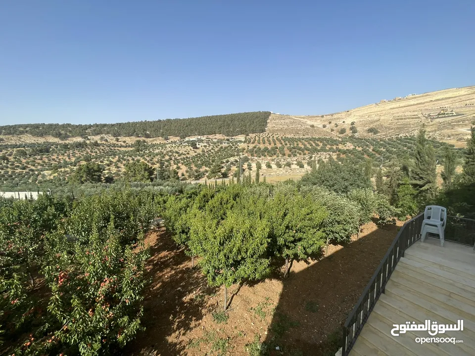 مزرعة و شاليه مميزة للبيع في منطقة الكمشة - الزرقاء