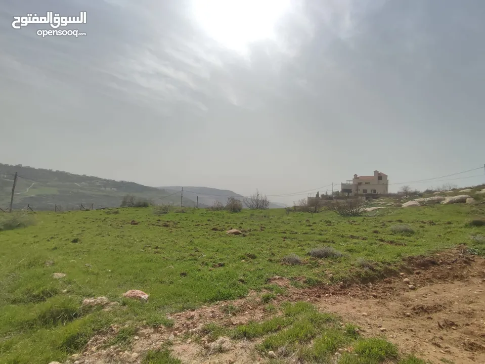 للبيع قطع اراضي في عيون الجاموس