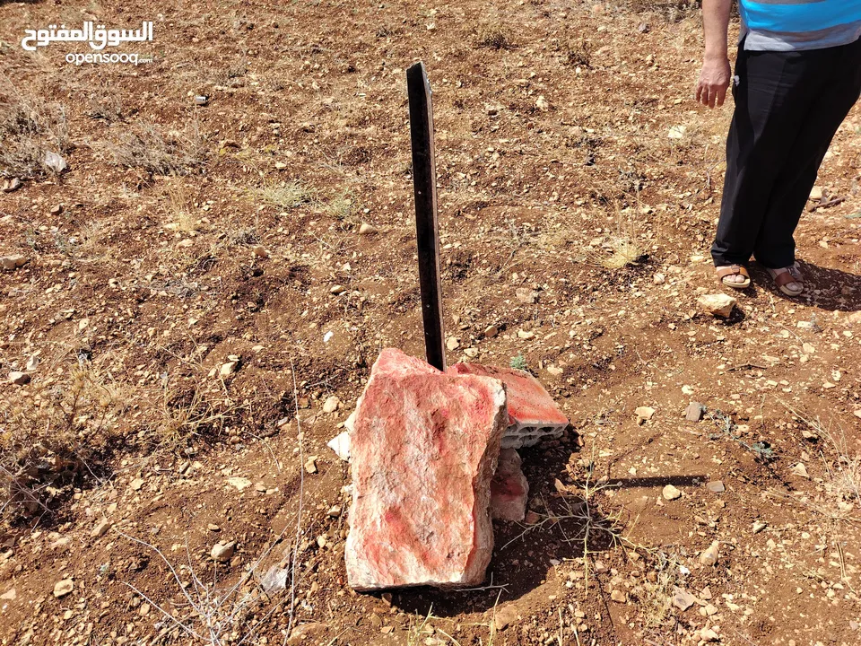 قطعة أرض بكوشان مستقل