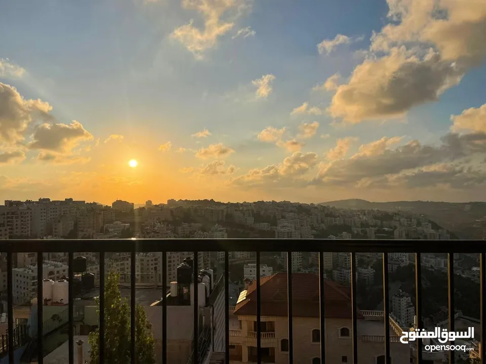 Furnished and distinctive apartment (Ramallah / Ein Misbah)