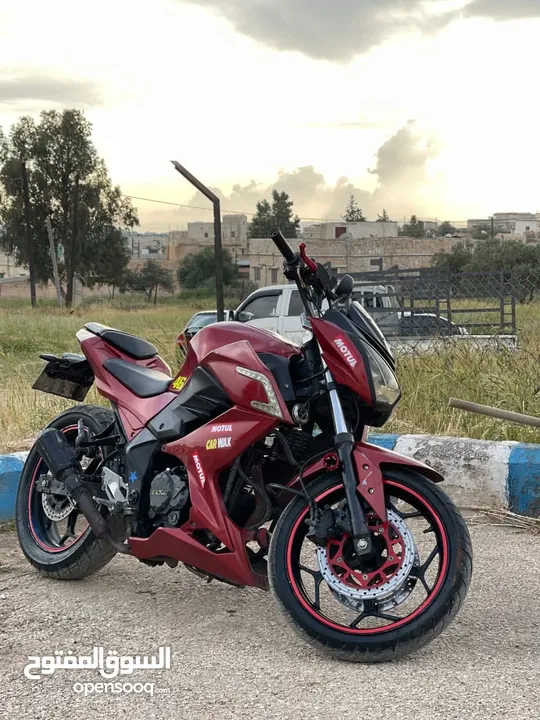 باندا بطح للبيع