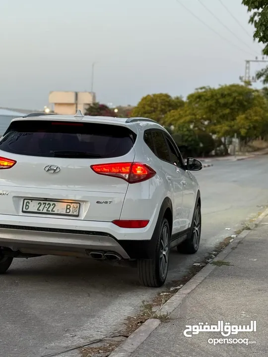 امين محمد جبر