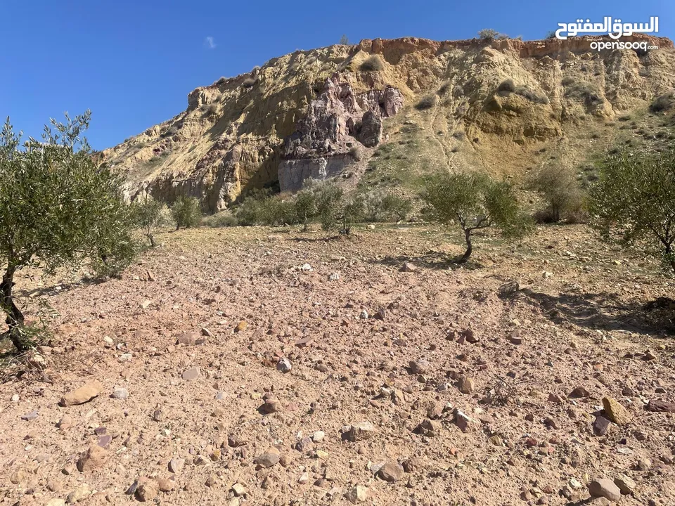 ارض للبيع / الصبيحي 18 دونم تقع على شارع رئيسي ‏بإطلالة مميزة وجميلة ويوجد بجانبها مطعم