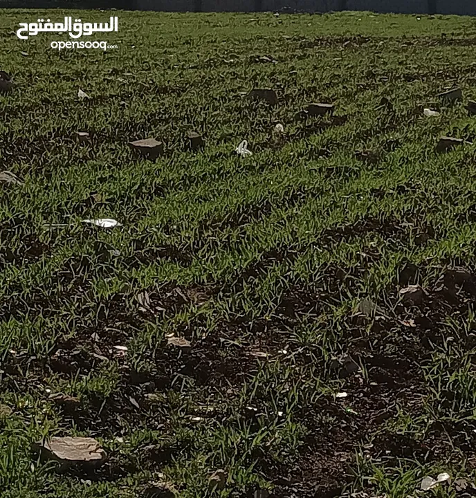 ارض للبيع في اليادودة حوض الفريط من المالك مباشره مطله وراقيه فلل جميله والسعر قابل للتفاوض