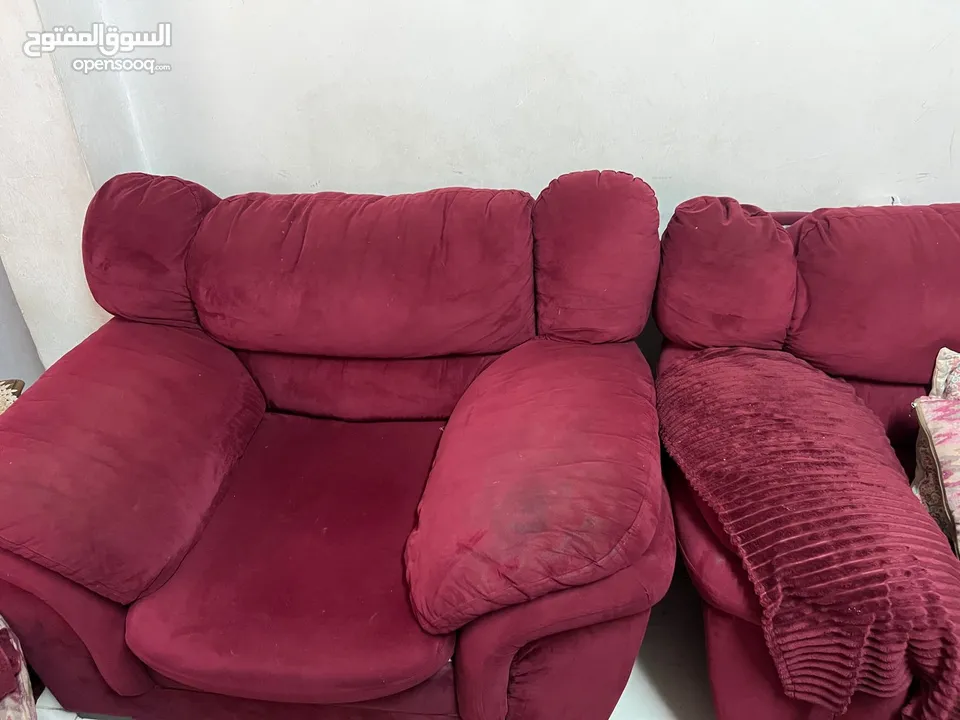 طقم كنب دب