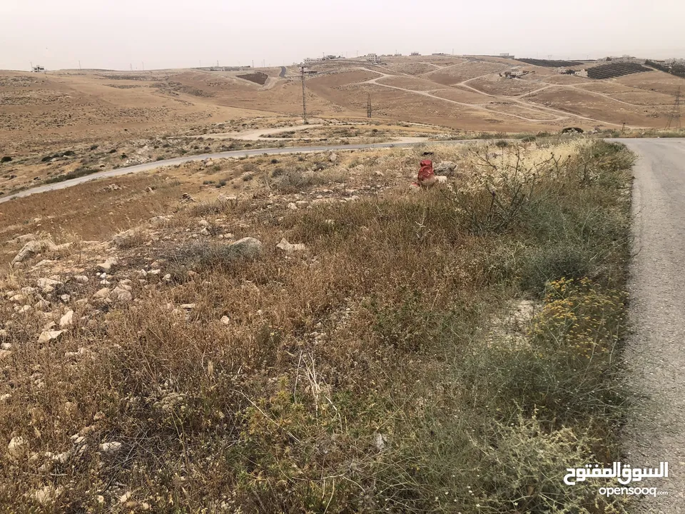 أرض للبيع اراضي شمال عمان شفا بدران زينات الربوع حوض الشكاره مساحة الارض 500 م سند تسجيل مستقل