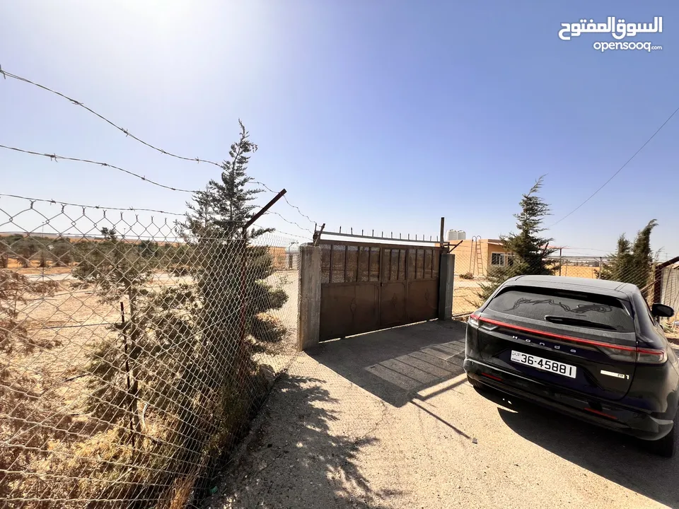قطعة أرض وبيتين  ومزرعه جاهز للسكن