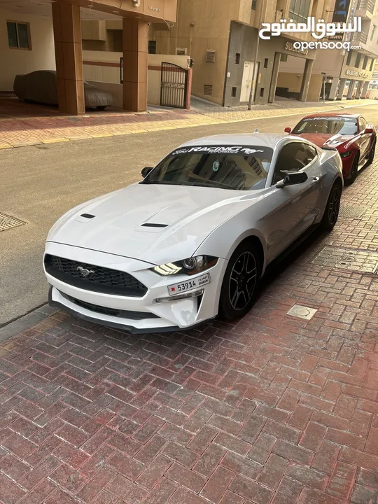 موستنق موديل 2020 للبيع بحاله ممتازه جديد الموتر