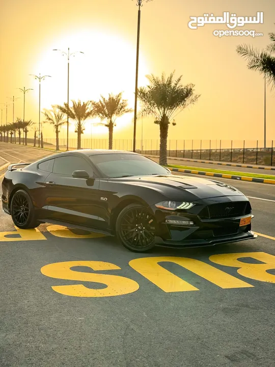 Mustang Performance Package low mileage موستانج برفورمنس بكج