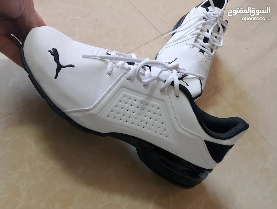 حذاء .Puma  اصلي بحال الوكاله لساته جديد وارد أروبي  الواحد ب 35