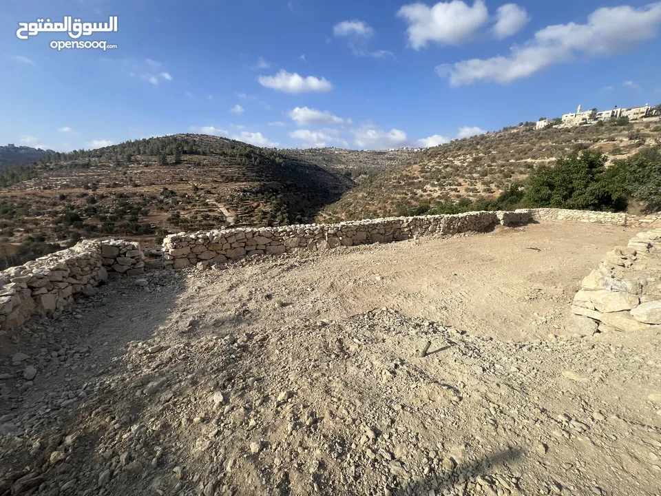 عجول قطعة ارض مساحتها 811 متر كوشان طابو مستقل سلطة أ تنازل فوري