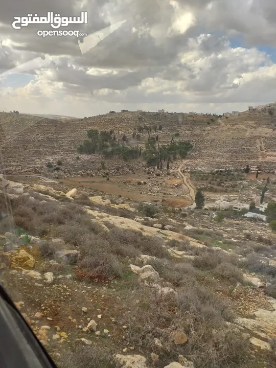 للبيع كوشان طابو او للبدل على سيارات