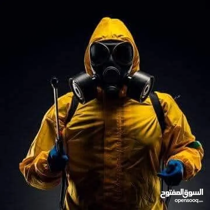 رش حشرات للمنازل والمحلات مع ضمان النتيجة وسرعة الاستجابة وكفالة
