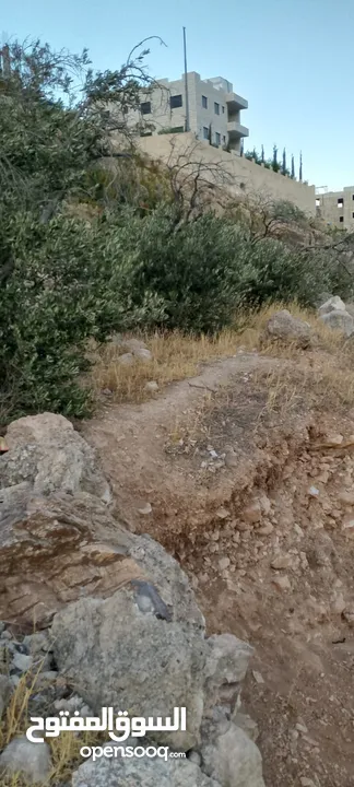قطعة أرض طابو للبيع