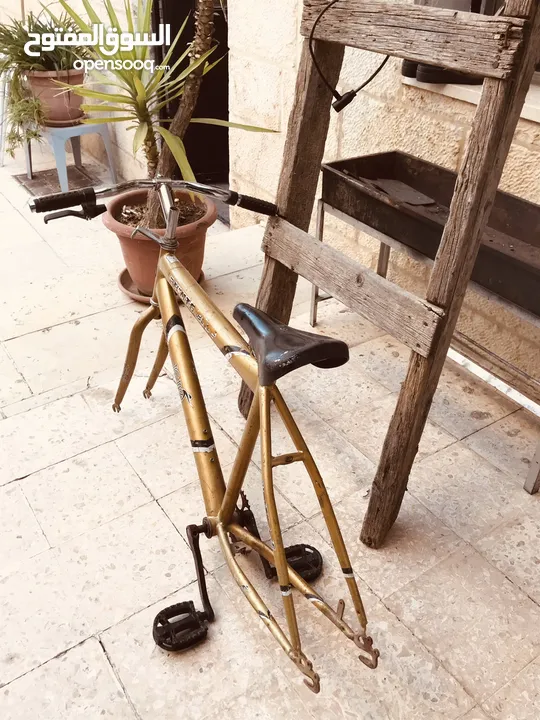 هيكل دراجة هوائية للبيع