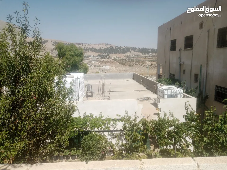 منزل مستقل جرش اسكان عجرمه  3غرف نوم 2حمام  صاله مع مطبخ امريكي  بلكونه  حديقه مساحه الارض 305