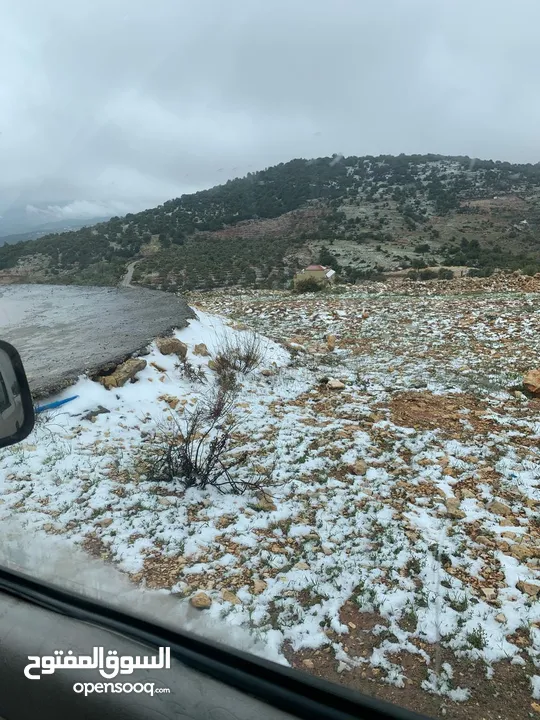 فرصة استثمارية! أرض زراعية مميزة بسعر مغري و بالقرب من أحراش الدولة للمزيد من المعلومات اقرأ الوصف