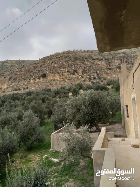 ارض في وادي شعيب مع بيت ريفي طابقين