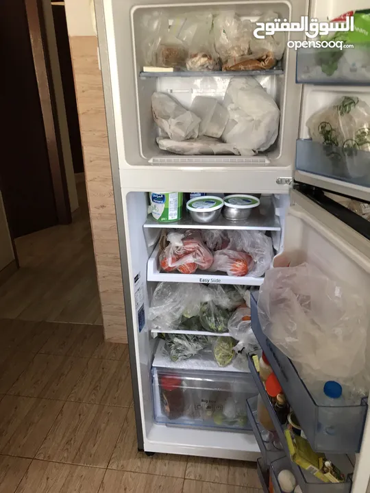 Fridge 1 year old