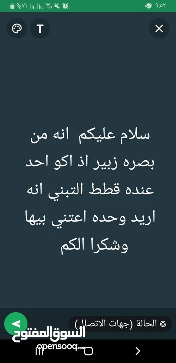 اريد قطط التبني