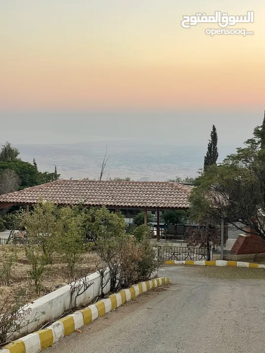 مزرعة للإيجار للعائلات فقط في عمان,تركي مطلة على البحر الميت و الضفة الغربية