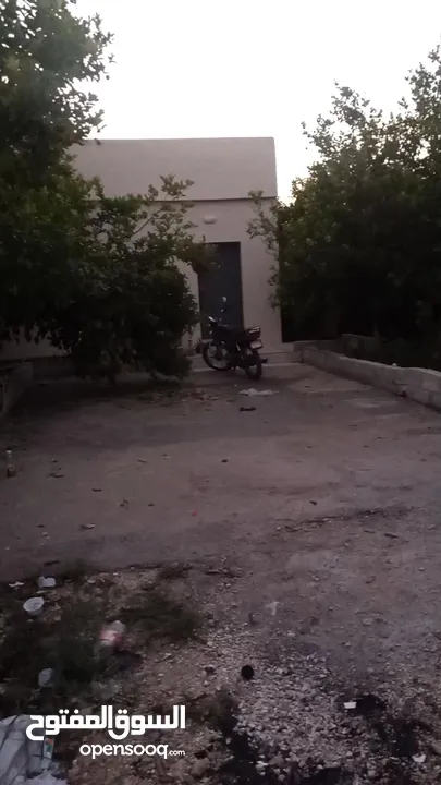 مزرعه للبيع 9دنمات من اصل 50دنم جميع انواع الحمضيات ويوجد بيت وبركه وريزرين مياه