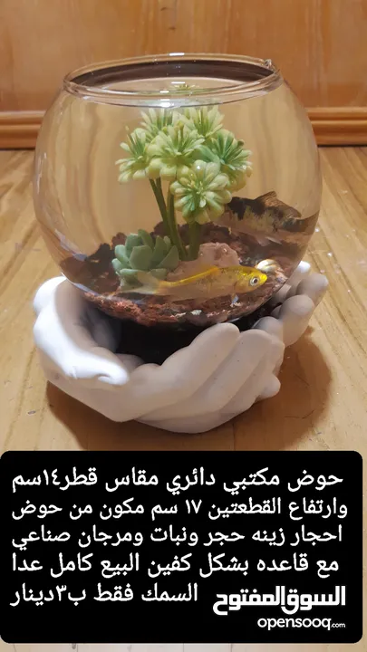 حواض مع قاعده