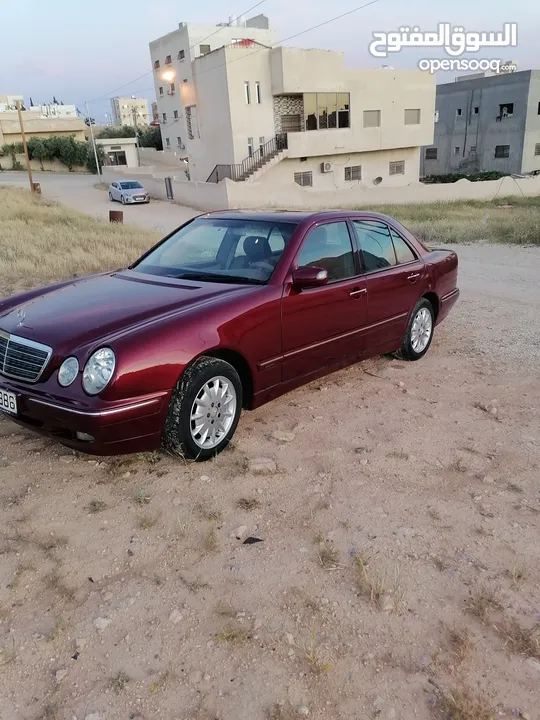 قرش ونص 2001 ايليجنس