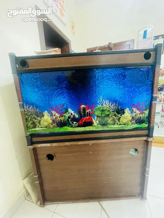 Fish tank with stand