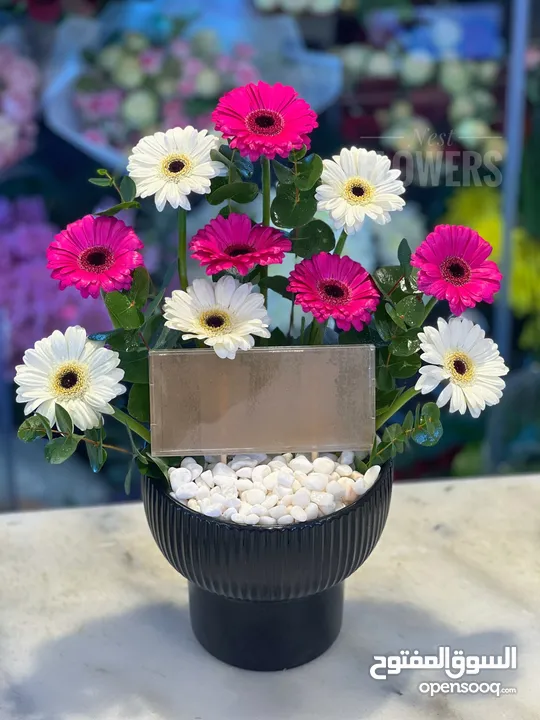 Nest flowers  lulu hyper market Shiab al ashkar Al Ain