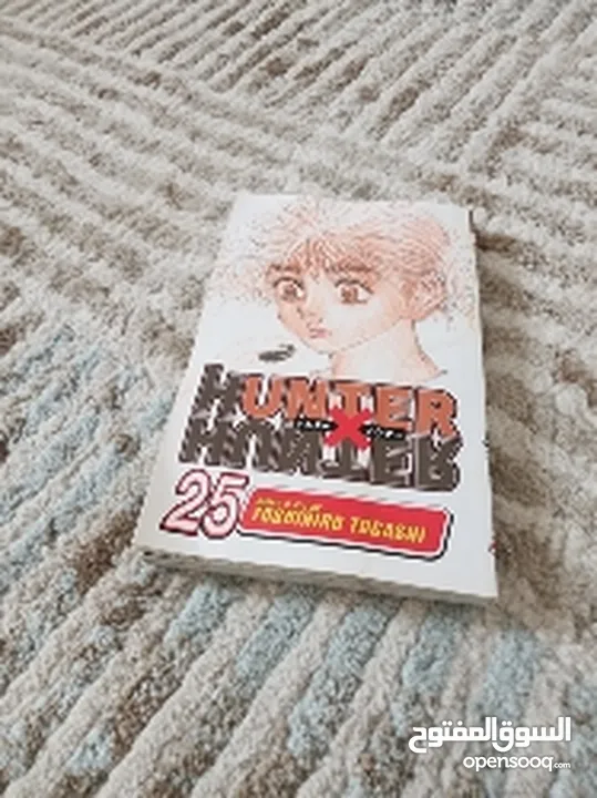 hunter x hunter manga 25