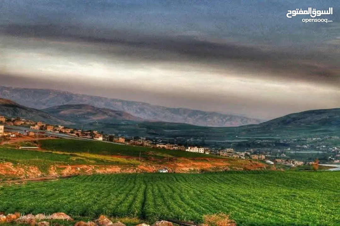 ارض للبيع في  حوض 24 تل الهوى(عين كيكوب) مساحة 510 مع رخصة بناء منطقة هادئة ومرتبة ومميزة مطلوبة جدا