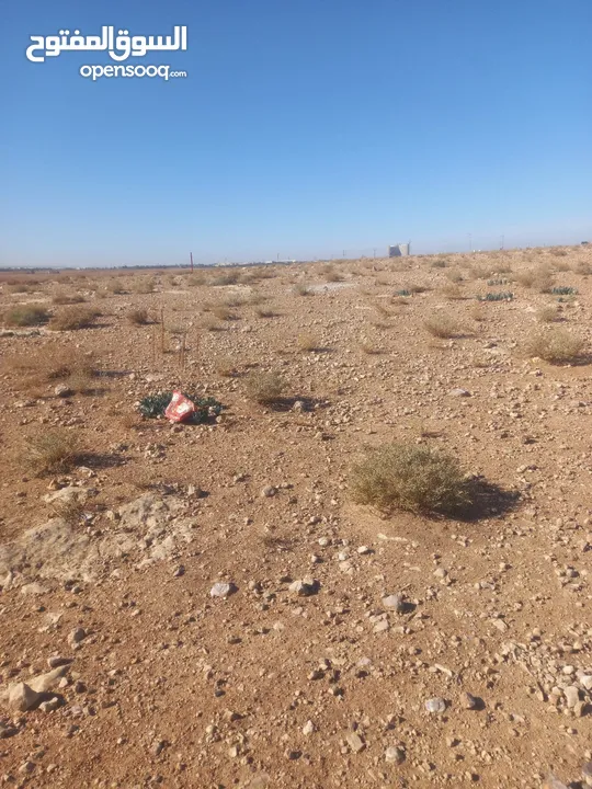 ارض للبيع شرق جامعة العلوم والتكنولوجيا