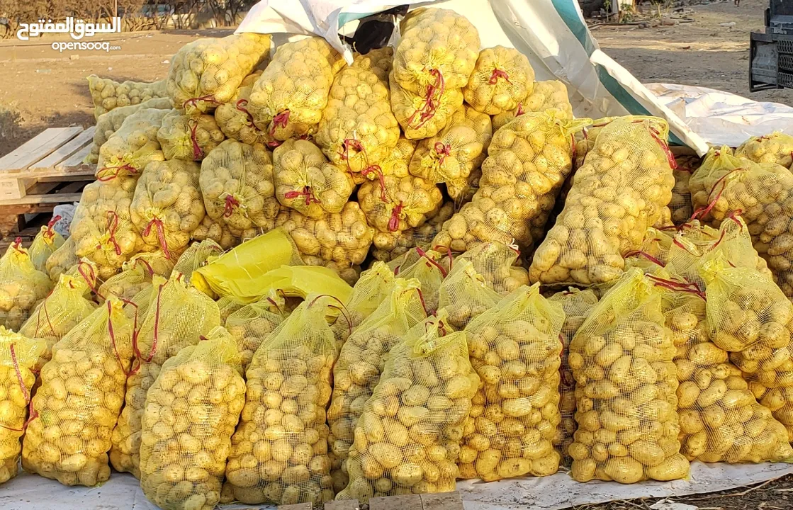 بطاط يمني زهره حمراء خاص بالتصدير  مؤســــــسة هاني المهلاء للتصدير الخضروات والفواكه.
