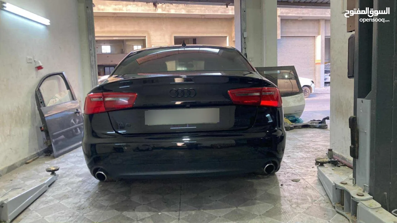 فل الفل فحص نخب