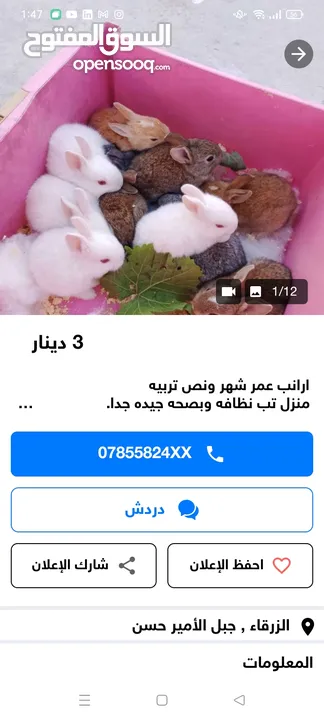 حلويات شرقية للبيع