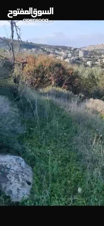 بيع ارض سكنية