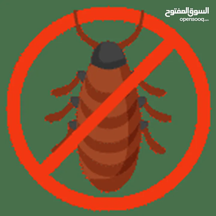 مكافحة الحشرات والقوارض والزواحف والرمه والصراصير والبق