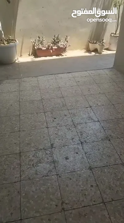 شقه ارضيه  للبيع