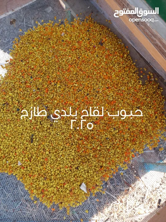 خلايا نحل بمستويات مختلفة طرود و خلايا منتجة و أدوات النحالين