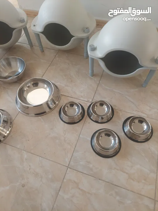 أغراض قطط للبيع في حالة الوكالة