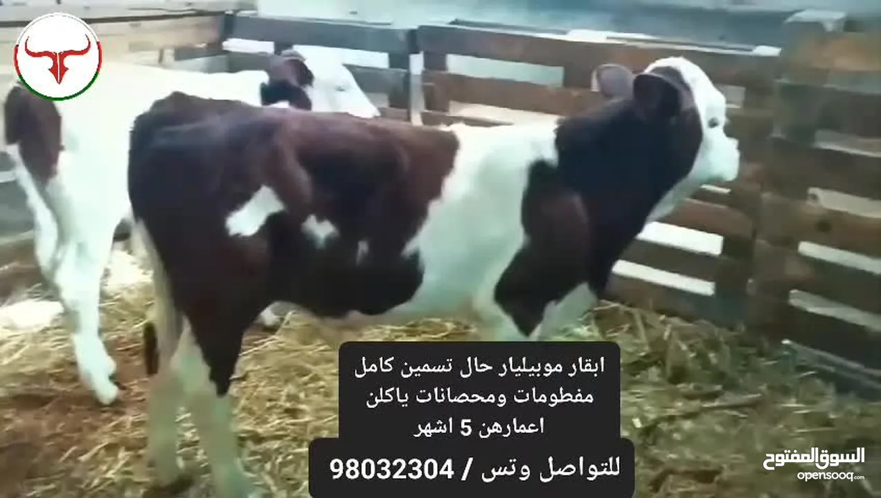 موبيليار حال تربيه