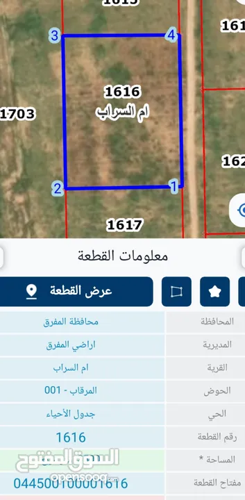 ارض للبيع.3دنم ونص الموقع المفرق روضة رويعي شرق ام السراب