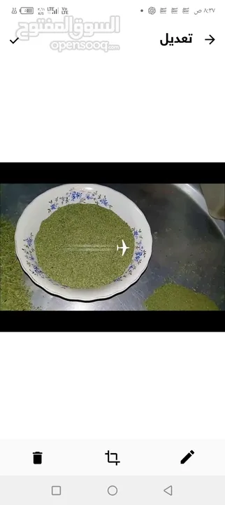 ملوخيه الرجاء او ناشفه مغسوله ومنقبه مفرومه ناعم او حسب طلب ملوخيه السنه هاي وصلت لحد بيتك
