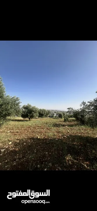 قطعة ارض سكنية مطلة في بدر