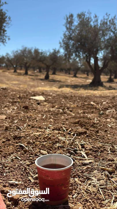 محل للبيع في منطقة باب الزاوية