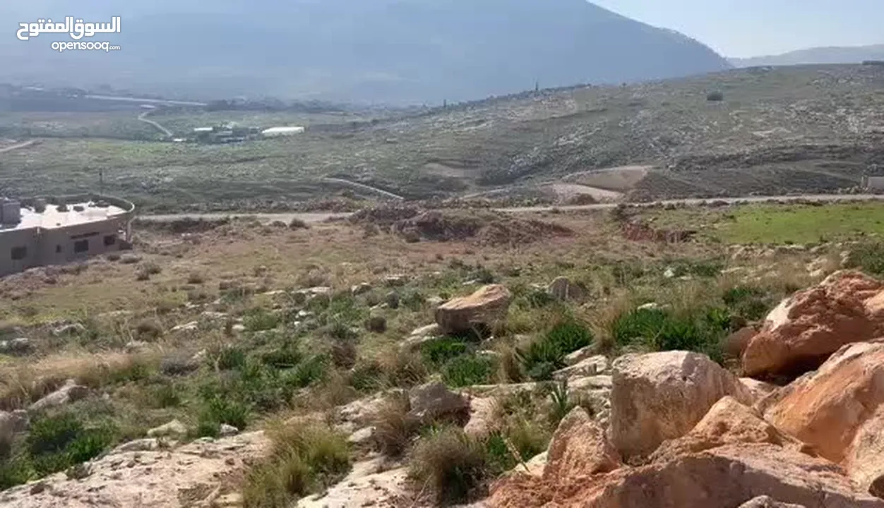 ارض للبيع في طلوزه