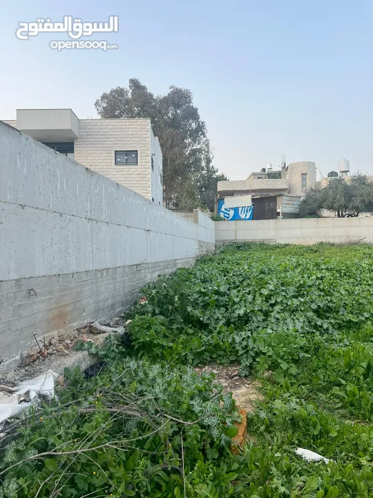عمر دار خليل