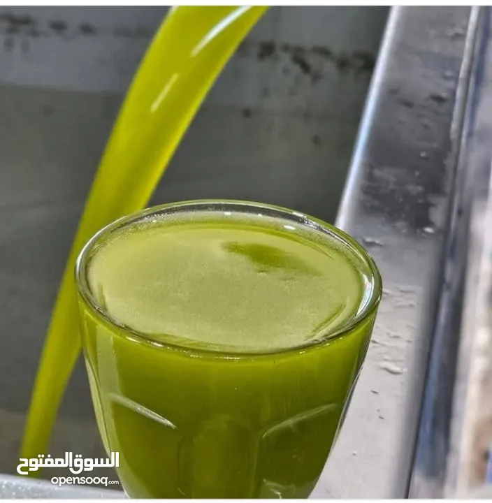 زيت زيتون جديد نخب